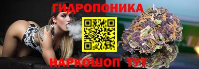 мдпв Дмитров