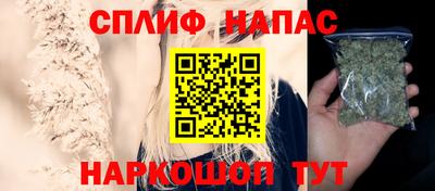 мдпв Дмитров