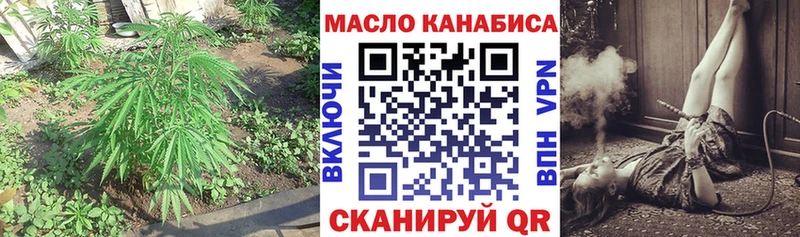 магазин    Кинешма  ТГК Wax 