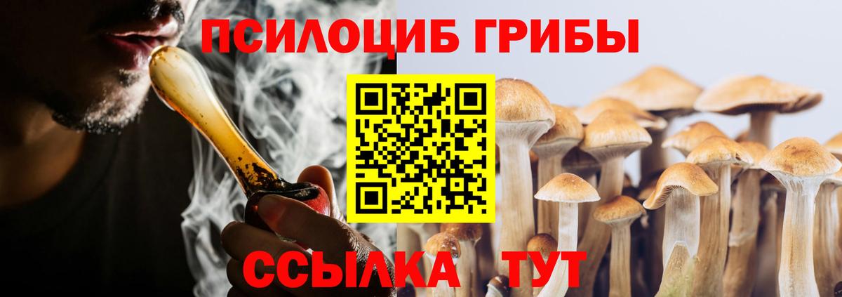 Кинешма  Псилоцибиновые грибы Psilocybe  Вход с VPN 